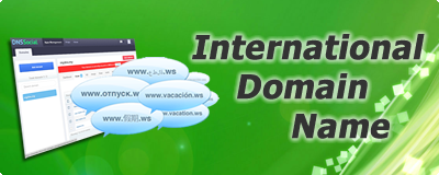International domain names